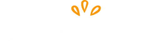 Sansarita Salsas Artesanales